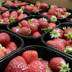 La Fraise de Mairy, Mairy-sur-Marne - Horaires d'ouverture