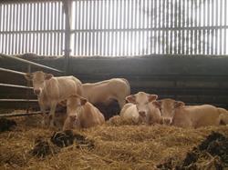 Ferme du Grand Porche, Quarouble - Horaires d'ouverture