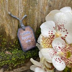 L’Atelier Vegetal, Cérans-Foulletourte - Horaires d'ouverture