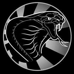 COBRA KAI COMBAT, Toulon - Horaires d'ouverture