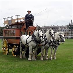 Le Musée du Cheval de Trait, Sacy-le-Grand - Horaires d'ouverture