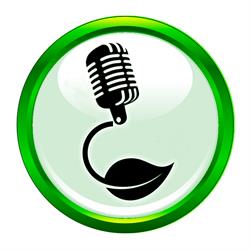 Oreilles Délicates - Enregistrement/Mastering, Sonnay - Horaires d'ouverture