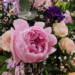 UN JOUR UNE FLEUR, Tigery - Horaires d'ouverture