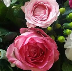 Instant Flower, Thumeries - Horaires d'ouverture