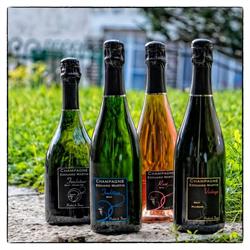 Champagne Edouard Martin, Bouzy - Horaires d'ouverture