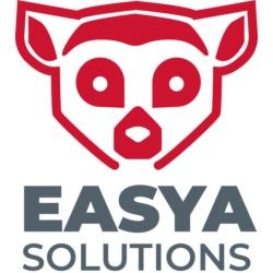 Easya Solutions (Opendsi), Vaulx-en-Velin - Horaires d'ouverture