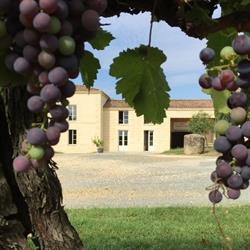 Château Garbes Cabanieu - Vignobles H David, Monprimblanc - Horaires d'ouverture