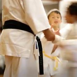 EKSDKF (ecole de karaté shotokan dojokun fourques), Fourques - Horaires d'ouverture