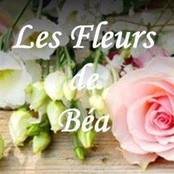 LES FLEURS DE BEA, Valbonne - Horaires d'ouverture