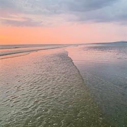 Galerie Des Dunes, Le Touquet-Paris-Plage - Horaires d'ouverture