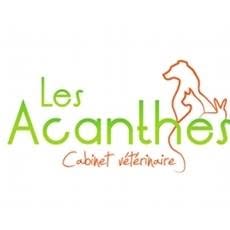 Clinique Veterinaire Les Acanthes, Comines - Horaires d'ouverture