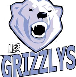 Les Grizzlys Niort Hockey club, - Horaires d'ouverture