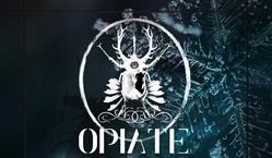 Opiate Tatouages, Caen - Horaires d'ouverture