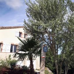 Les Figuiers, Lauzerte - Horaires d'ouverture