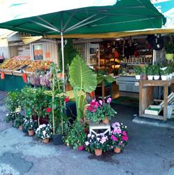 Chez ALAIN, Cagnes-sur-Mer - Horaires d'ouverture