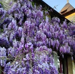 Bed & Breakfast Chateau St. Gaultier, Saint-Gaultier - Horaires d'ouverture
