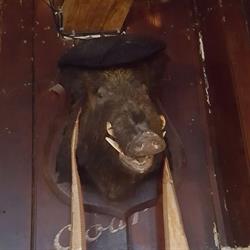 Café de la Sarthe, Lille - Horaires d'ouverture