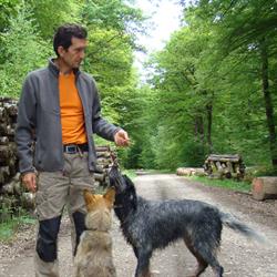 Pascal Rorato Education canine et comportement chiens et chats, Saint-Paul-de-Varces - Horaires d'ouverture
