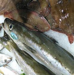 Poissonnerie Le Trident, Sainte-Luce-sur-Loire - Horaires d'ouverture