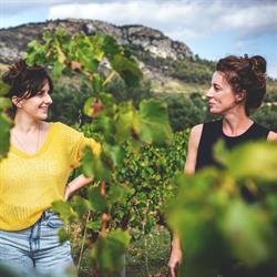Domaine Aymard, Carpentras - Horaires d'ouverture