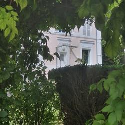 Maison Stella Cadente Provins, - Horaires d'ouverture