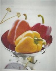 Anne-Elisabeth Migeon - Nutritionniste, Saintes - Horaires d'ouverture
