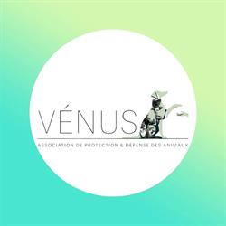 ASSOCIATION VÉNUS, Bordeaux - Horaires d'ouverture