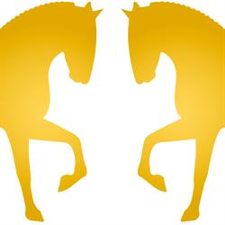 Pension pour chevaux en IDF 77 - Académie Équestre du Miroir, Saint-Augustin - Horaires d'ouverture