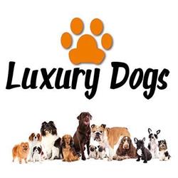 LUXURY DOGS, Brix - Horaires d'ouverture