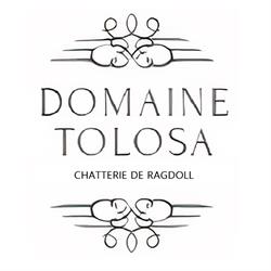 Chatterie du Domaine Tolosa (Ragdoll), Daux - Horaires d'ouverture