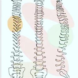 Cabinet chiropratique Anne-Sophie Thiébaut, Tassin-la-Demi-Lune - Horaires d'ouverture