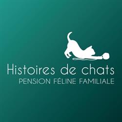 Histoires de chats - pension féline - garde de chats en collectif et box individuels, Armissan - Horaires d'ouverture