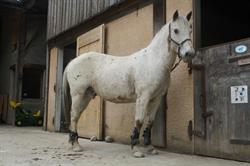 Equit, Commelle - Horaires d'ouverture