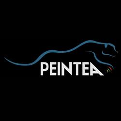 PEINTEA SAS, Wissous - Horaires d'ouverture