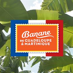 Banane de Guadeloupe Martinique, Rungis - Horaires d'ouverture