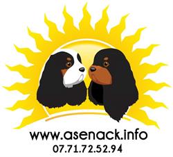 Asenack Association, Dampierre - Horaires d'ouverture