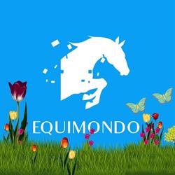 EQUIMONDO SARL, Courseulles-sur-Mer - Horaires d'ouverture
