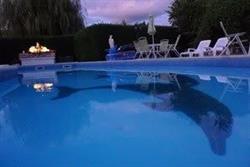 Chambres d'hôtes zoo beauval 41 - Les Dauphins de Mareuil, Mareuil-sur-Cher - Horaires d'ouverture