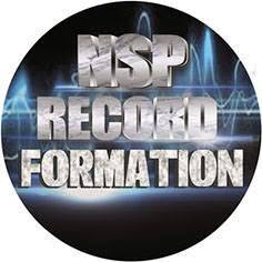 NSP RECORD Maison de disque, Villenave-d'Ornon - Horaires d'ouverture