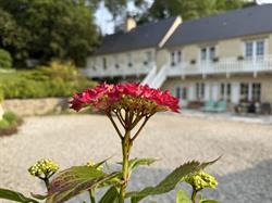 B&B Le Clos Saint Jean - Omaha Beach, Sainte-Honorine-des-Pertes - Horaires d'ouverture