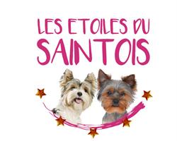 LES ÉTOILES DU SAINTOIS, Forcelles-sous-Gugney - Horaires d'ouverture