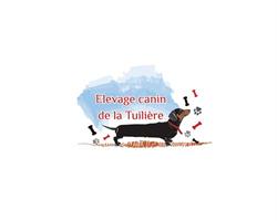 ELEVAGE CANIN DE LA TUILIÉRE, Suze-la-Rousse - Horaires d'ouverture