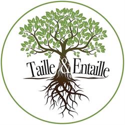 Taille&Entaille, Libourne - Horaires d'ouverture