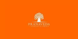 PRANAVEDA - Thérapeute en Ayurvéda - Geobiologie de l'habitat - Soins énergétiques, Lyon - Horaires d'ouverture
