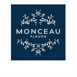 Monceau Fleurs Saint Maur des Fossés, Saint-Maur-des-Fossés - Horaires d'ouverture