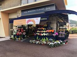 Monceau Fleurs, Le Cannet - Horaires d'ouverture