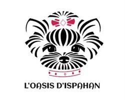 L'OASIS D'ISPAHAN, Decize - Horaires d'ouverture