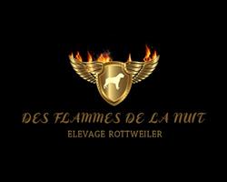DES FLAMMES DE LA NUIT, Tauriac - Horaires d'ouverture