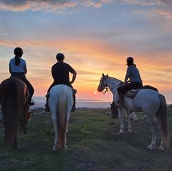 Centre de Tourisme Equestre Larrun Alde, Urrugne - Horaires d'ouverture