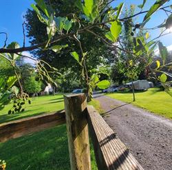 Camping les Rives de la Doller, Masevaux - Horaires d'ouverture
